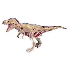 4D Model - T-Rex