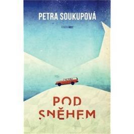 Pod sněhem