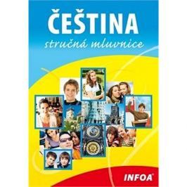 Čeština stručná mluvnice
