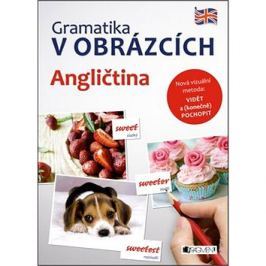 Gramatika v obrázcích Angličtina