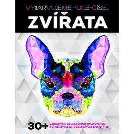 Vybarvujeme podle čísel Zvířata: Relaxační omalovánky