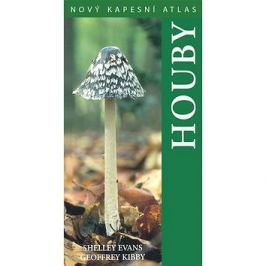 Houby