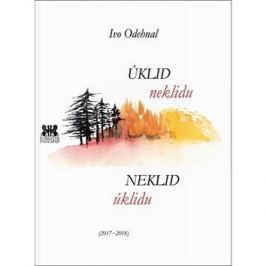Úklid neklidu Neklid úklidu