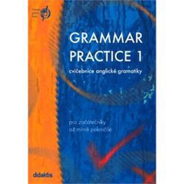 Grammar practice 1: cvičebnice anglické gramatiky pro začátečníky až mírně pokročilé